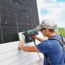 Best Historical Building Siding Restoration  in Presidio, TX